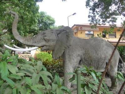 Elephant in front of Karen Blixen Cafe