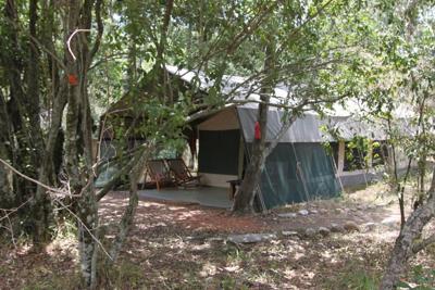 Mara Bush Camp