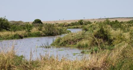 River in Masai Mara