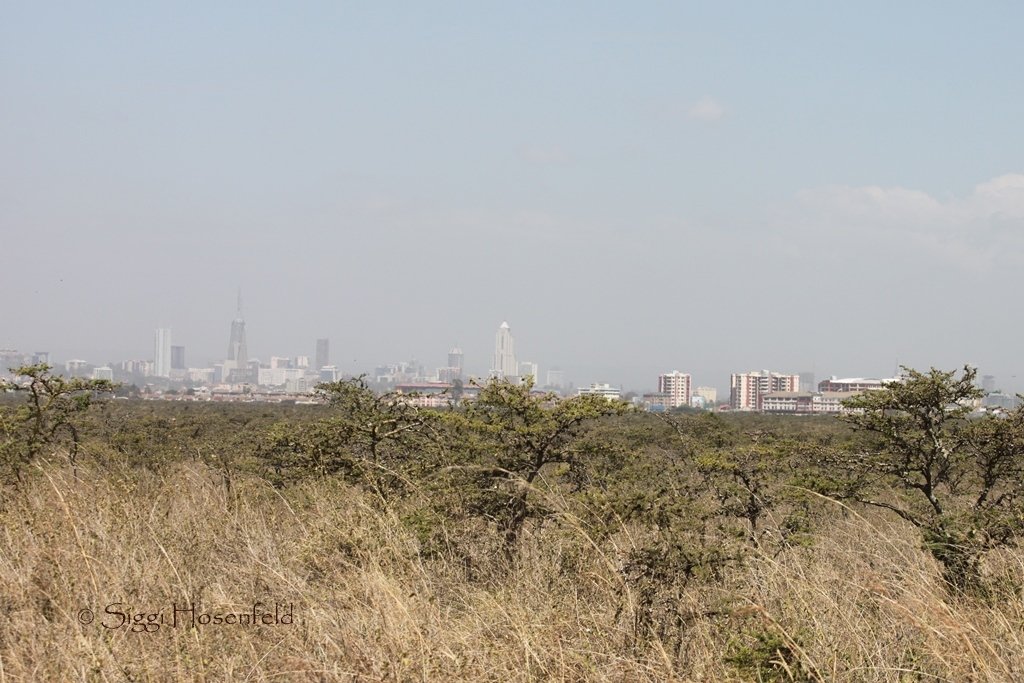Nairobi from the Park